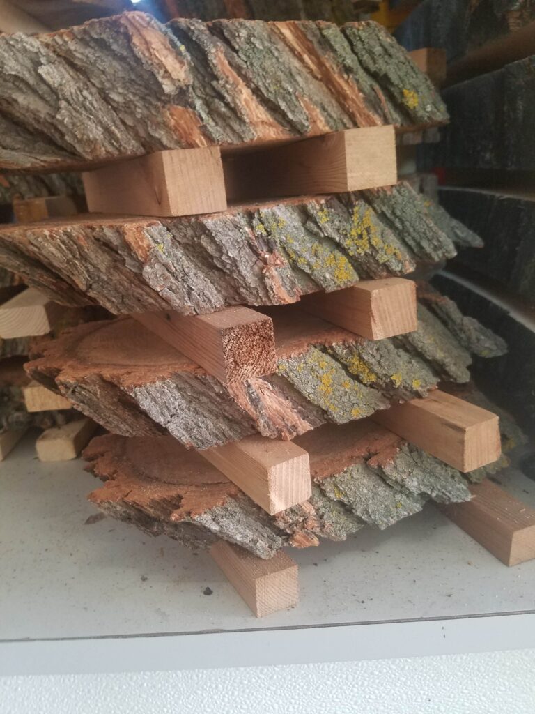 20201006 083812 Original